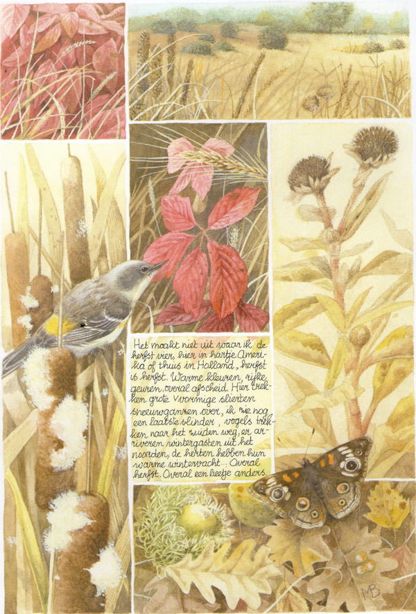 Autumn