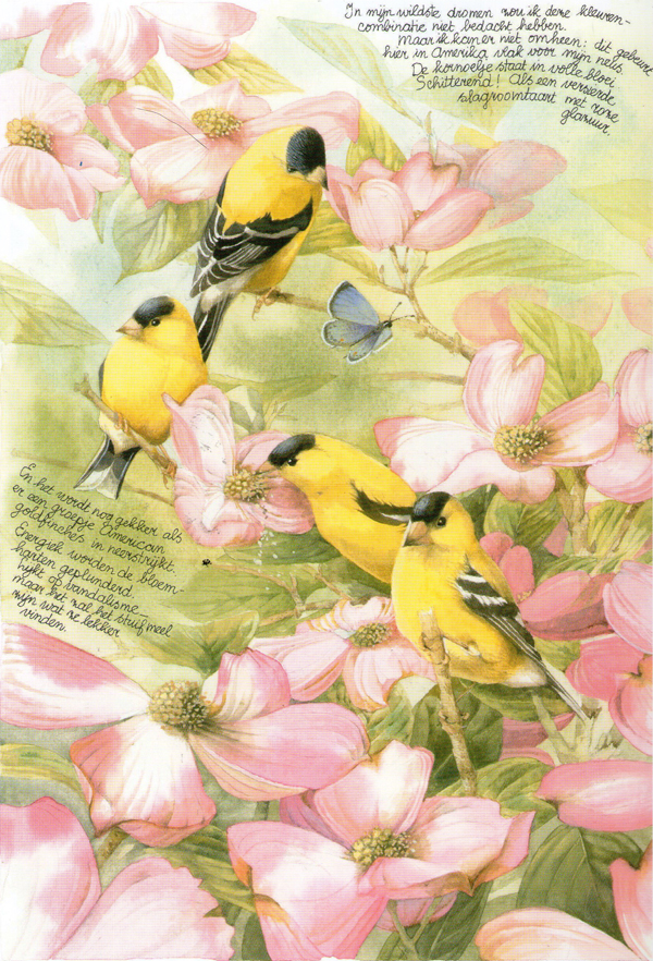 Goldfinches