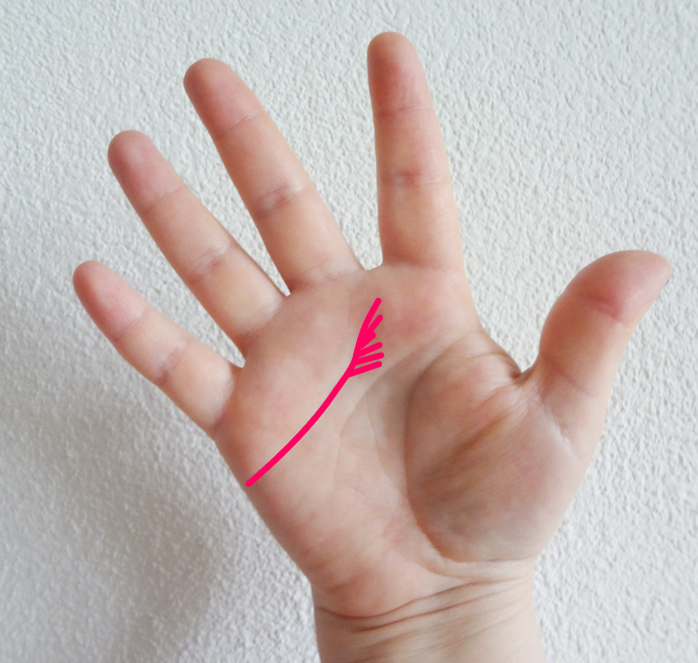 heart line