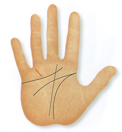 to the little finger