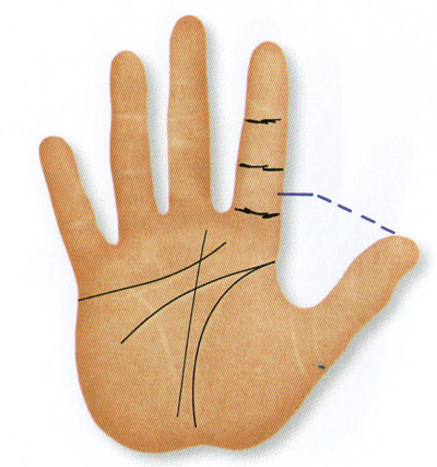 normal length of thumb