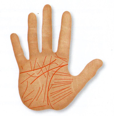 many little lines in the hand