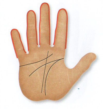 fingers