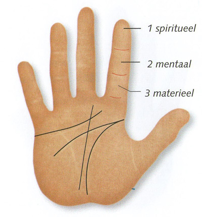 significance of the phalanges