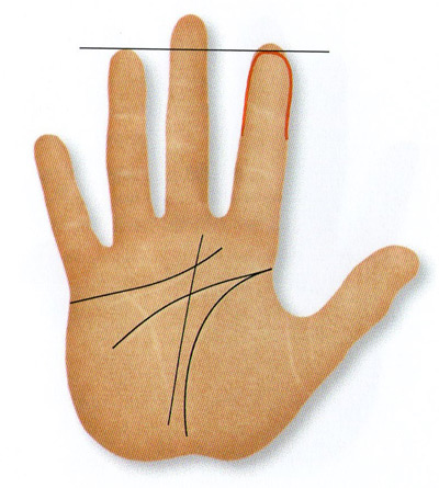 as the ring finger