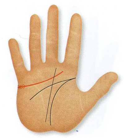 lateral branches under little finger