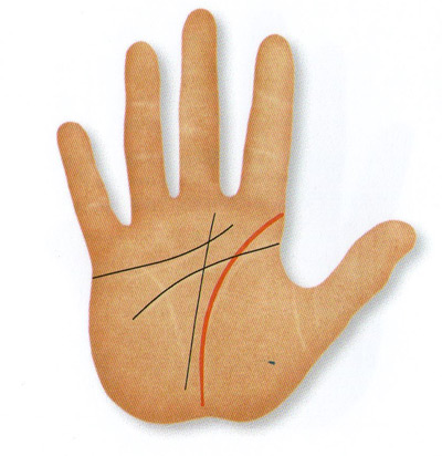 Beginning at the top of the index finger mount