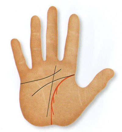falling branches towards the wrist